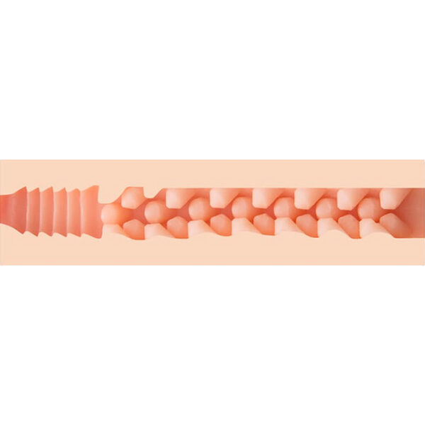 fleshjack structuur binnenkant
